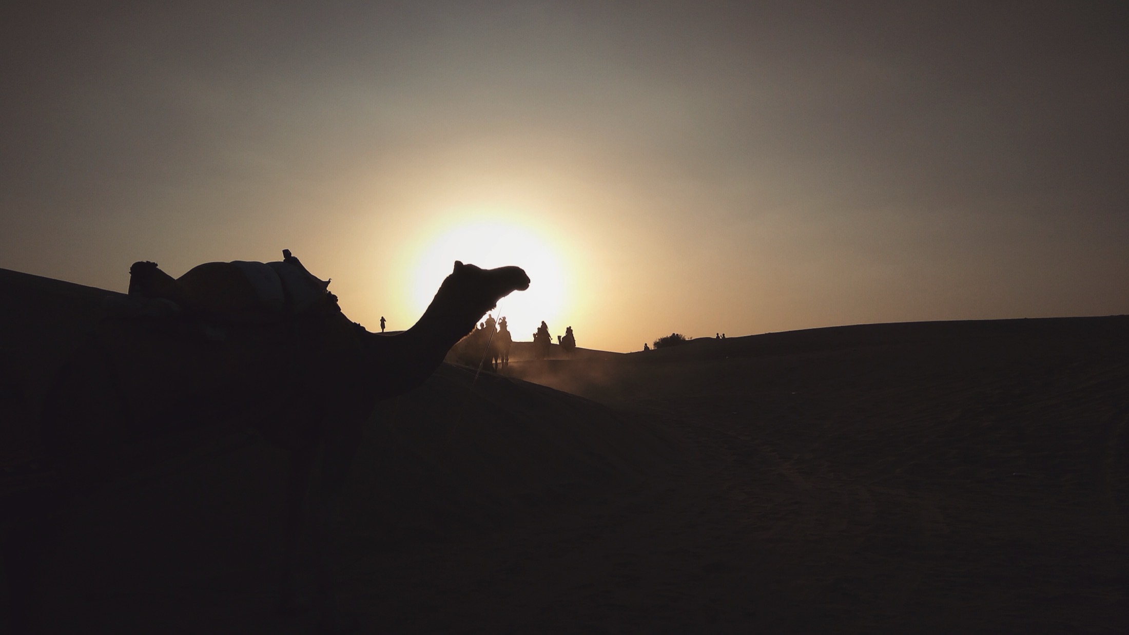 Sunrise Camel Cart Ride